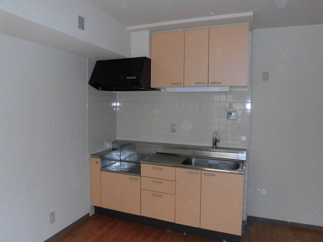 パルメゾン石神井公園　Ｂ棟B102号室 キッチン