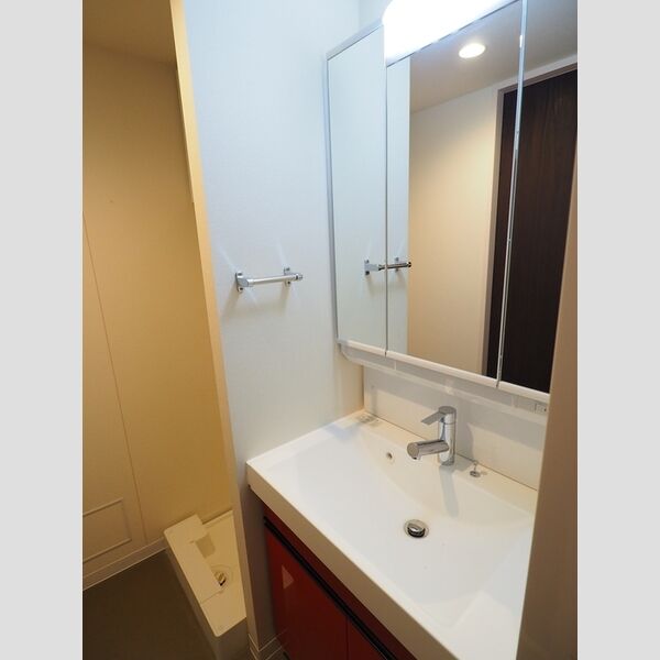 ロイジェントパークス千葉中央0503号室 洗面化粧台