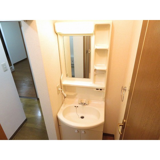 エステートロイヤル８号棟0101号室 独立洗面台