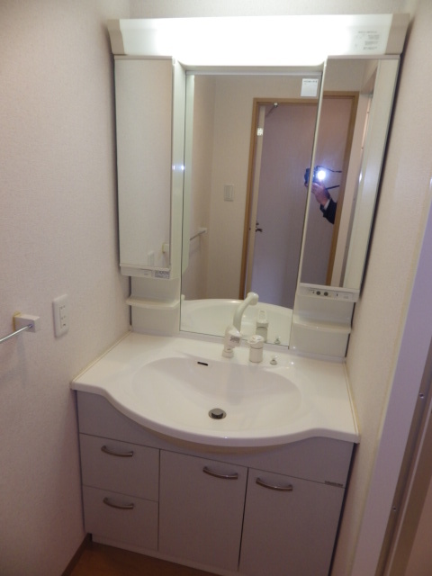 松山堂錦ビル0605号室 洗面