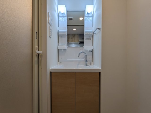 ハーモニーレジデンス蒲田アートヴィラ0207号室 洗面