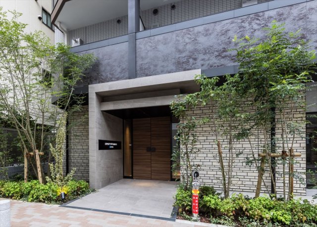 DIPS東十条駅前RESIDENCE405号室 エントランス