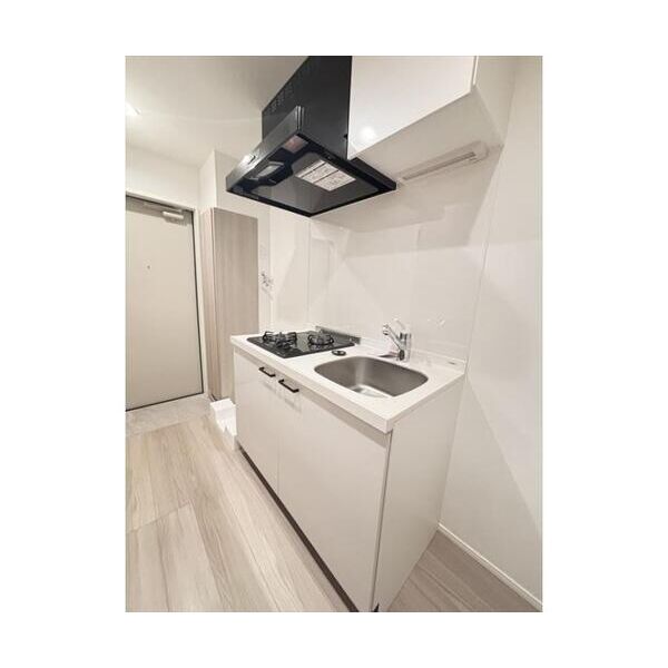 レイズ日進301号室 キッチン