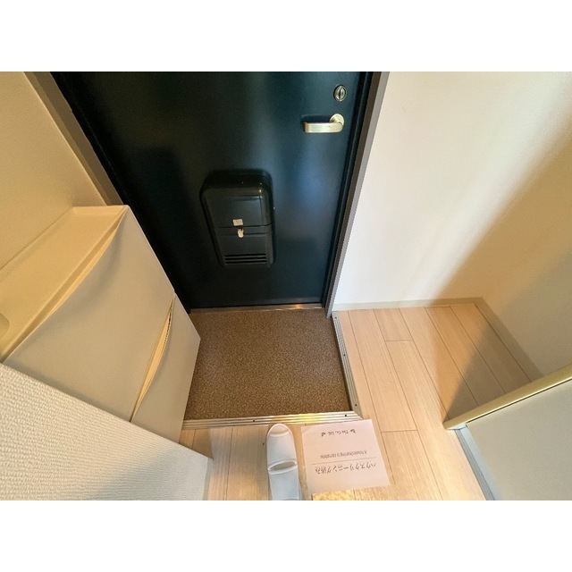 グリーンプゾム305号室 玄関