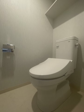 エヌステージ秦野駅前0207号室 トイレ