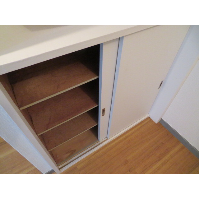 シャトレー千代田Ⅱ 収納