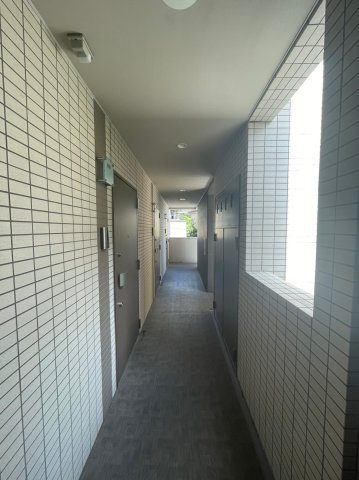 DIPS大山東町2303号室 その他共有部分