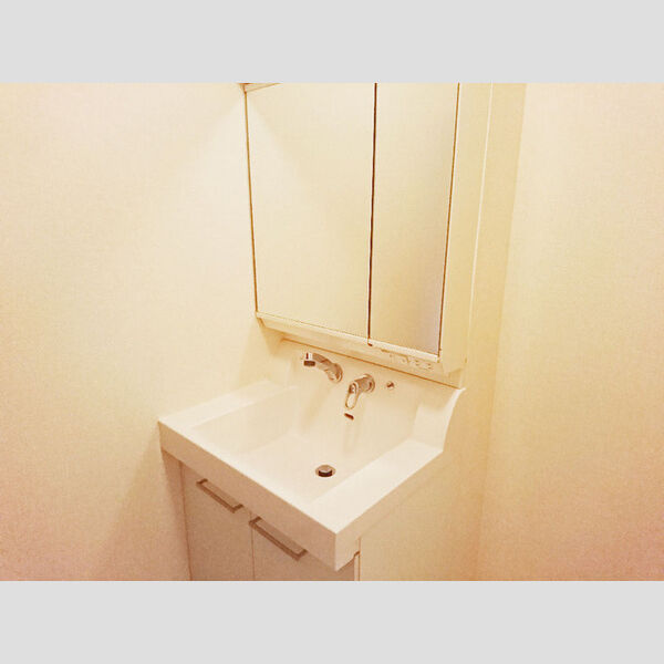 インペリアルN・Y101号室 洗髪洗面化粧台