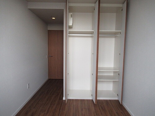 ザ・スカイクルーズタワー9階 洋室収納