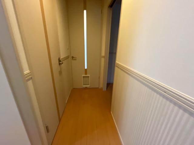 クレアトゥール　エスト　(Ｃｒｅａｔｅｕｒ　ｅｓｔ)205号室 廊下