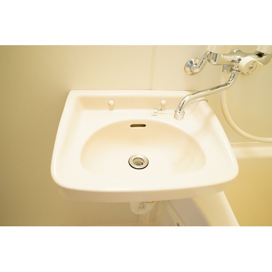 ＲＩＫＩパレス0105号室 洗面ボール