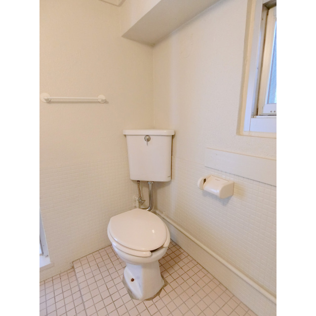 メゾン・ド・メルシー0907号室 トイレ