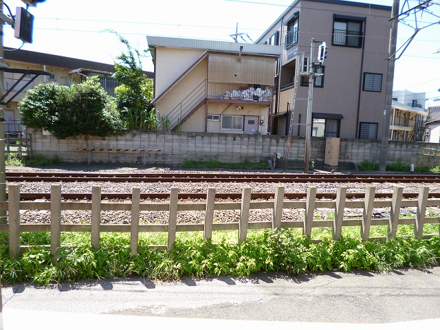 ホワイトハウス1階 部屋その他