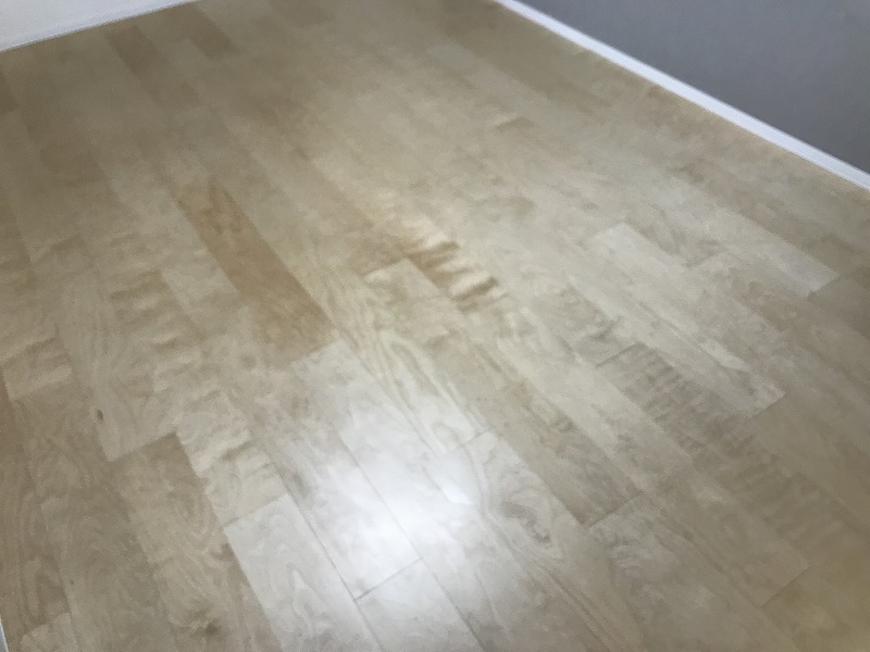 SYNEX NISHI-OI ※過去退去時のお写真です