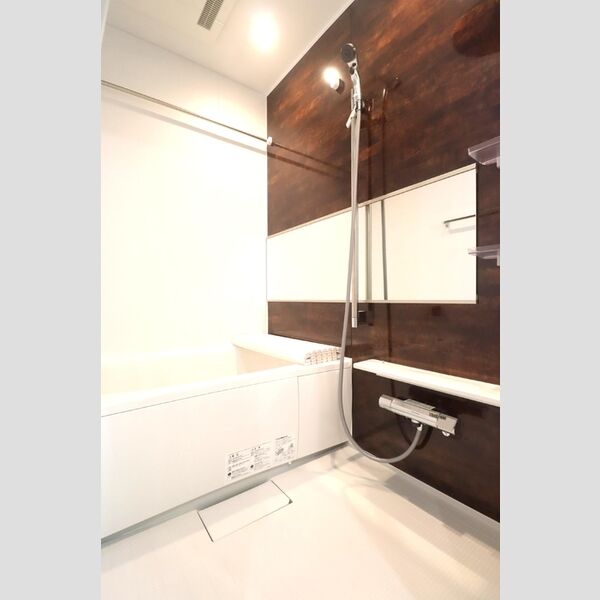 セレスティア小豆沢103号室 バスルーム