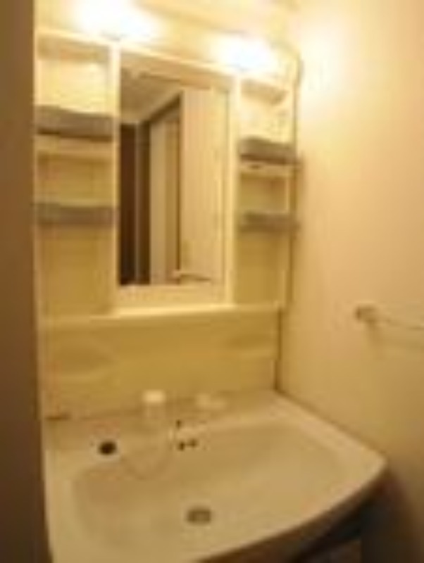 セイコーガーデン成増 洗面