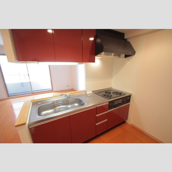 F・D　VILLE903号室 キッチン