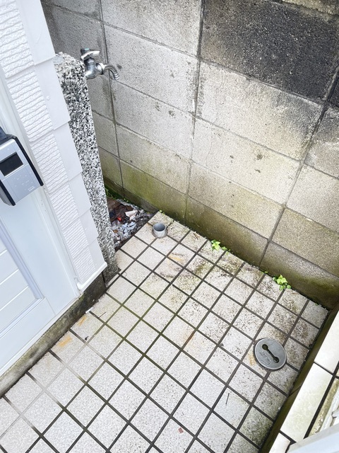 エーデルワイス リビング