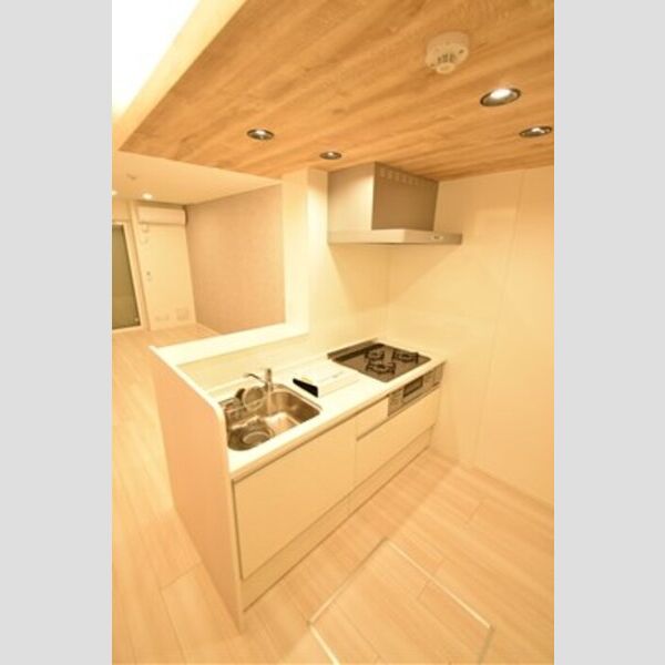 エミグランド愛甲石田105号室 キッチン