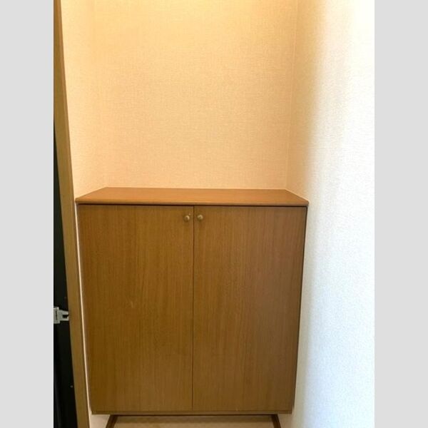 クイーンハイツ　Ⅱ202号室 下駄箱