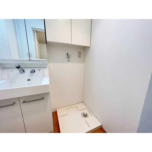 アンリシェール橋本Ａ303号室 室内洗濯機置場