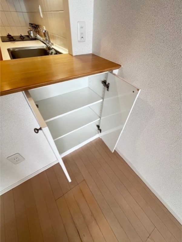 ウエストパークタワー池袋13階 収納