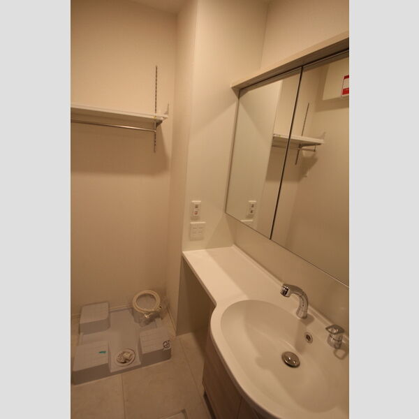 セレスティア南花畑Ⅱ102号室 洗面