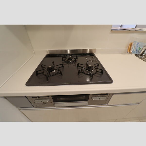 レジデンス湘南Ⅱ202号室 キッチン