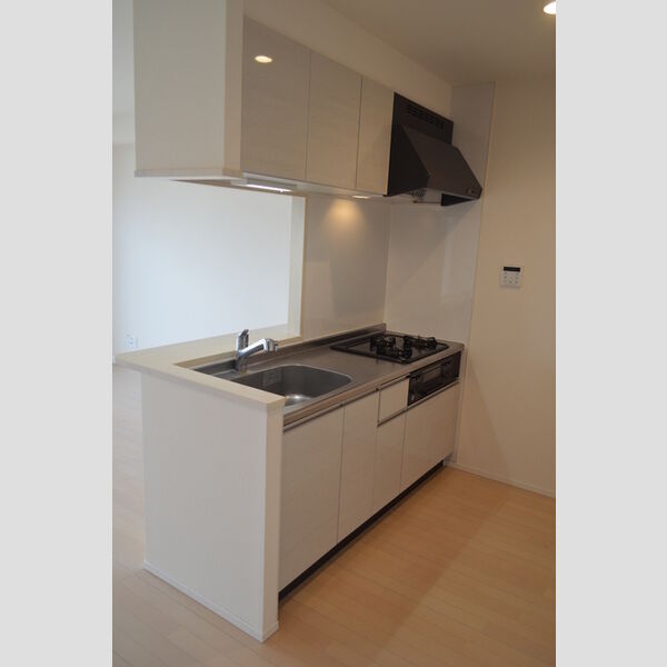 Callisto503号室 キッチン