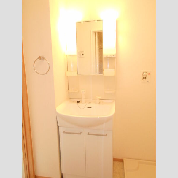 グランメール南台203号室 洗面