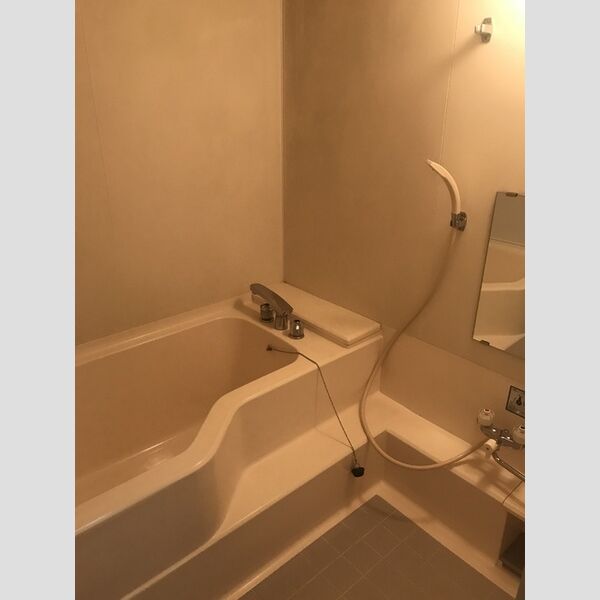 フラワーハウス201号室 浴室