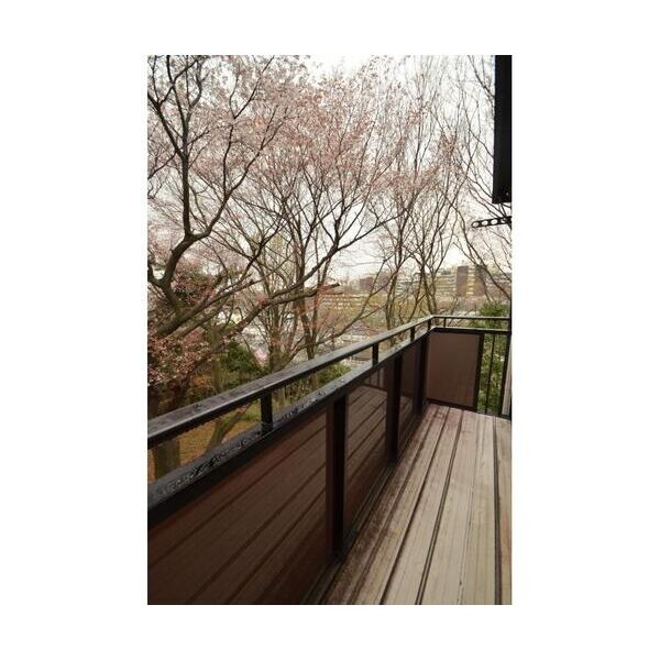 エステート長沢II202号室 部屋その他