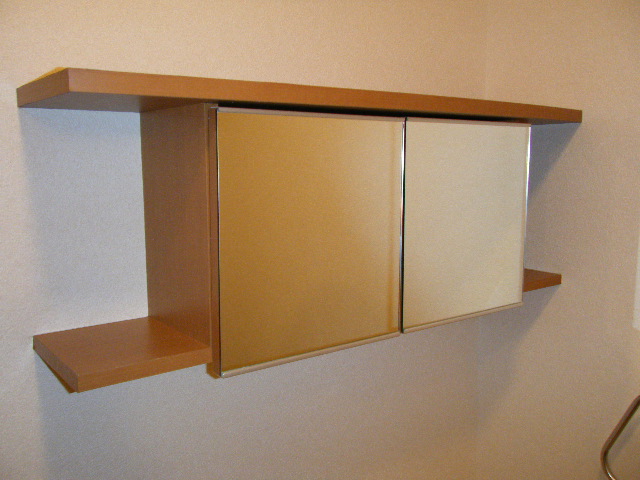 ビオス北朝霞311号室 トイレ収納（閉）