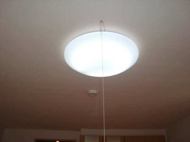 プリオールＣＯＣＯ305号室 照明器具（イメージ）