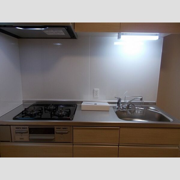 プランドール港南101号室 システムキッチン