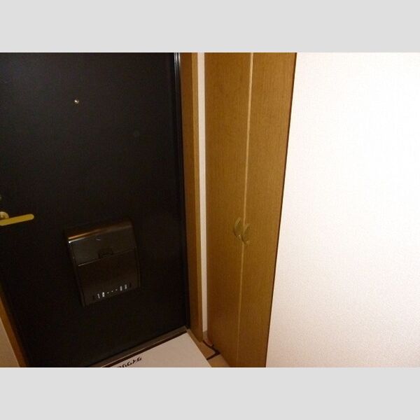 グランパシフィック201号室 トールタイプシューズBOX