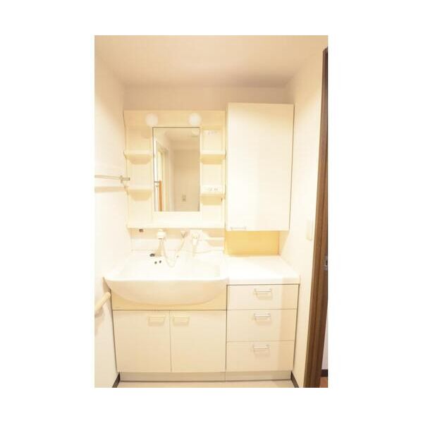 パークハイムMSK502号室 洗面