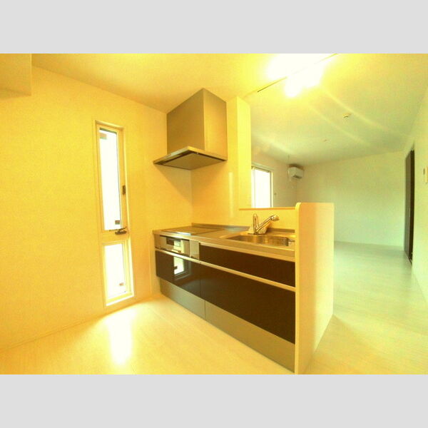 maison楓Ⅲ システムキッチン