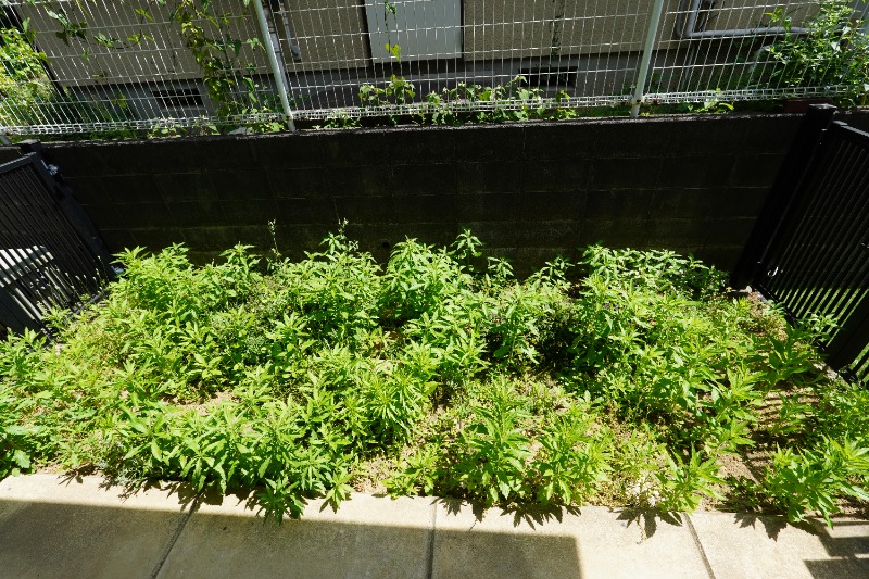もみの木プレイスA 部屋その他