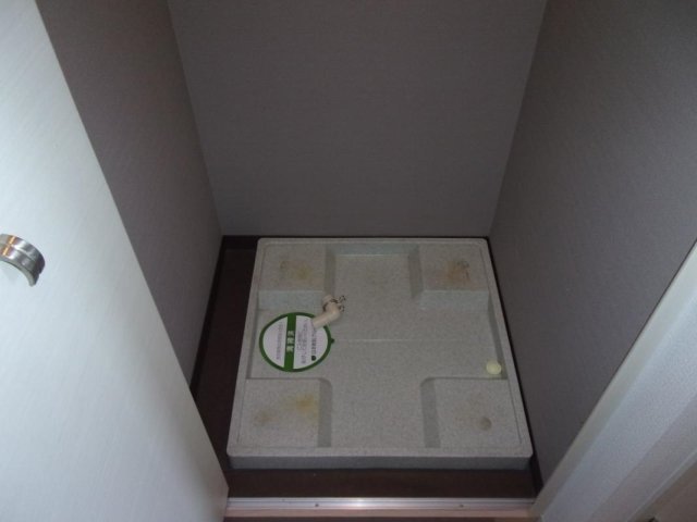 フェニックス川崎弐番館10階 室内洗濯機置場