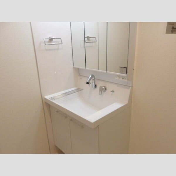 ルミナーレ(大和田新田PJ)303号室 洗髪洗面化粧台