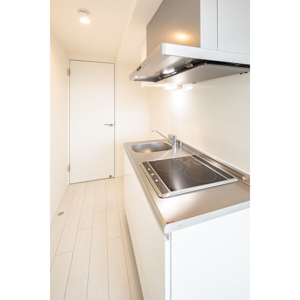 Ludens椎名町202号室 部屋その他