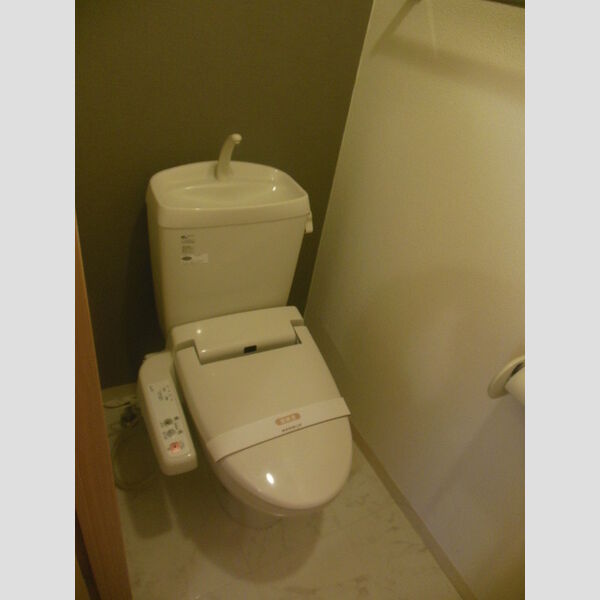 ルピナスコート柴崎302号室 トイレ