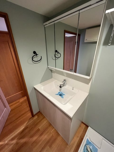 レジディア芝浦6階 洗面