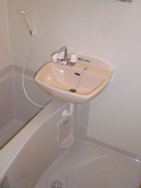 レオネクスト山王フォースイ203号室 部屋その他