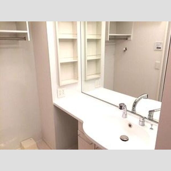 ハイム羽沢十番館 ドレッサータイプの洗髪洗面化粧台