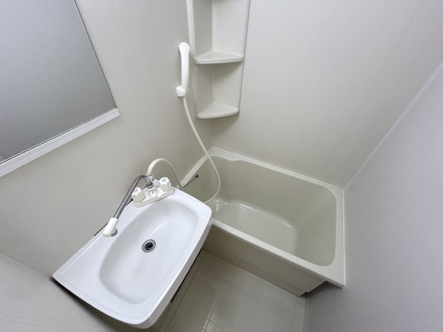 ウインベルソロ西川口第10 洗面