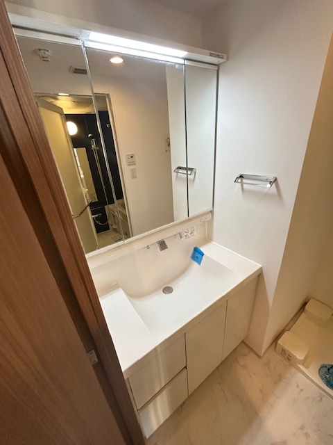 レジディア南品川Ⅱ 洗面