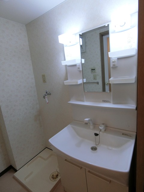 エコ・レジデンス0201号室 洗面