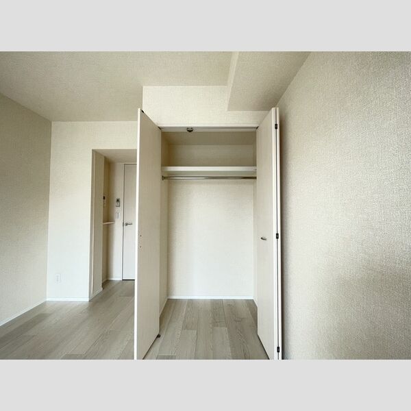 ミラージュ新子安406号室 クローゼット